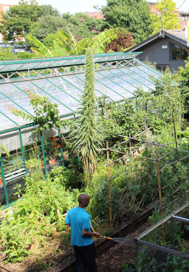 Introduction to Gardening 2 Day Workshop