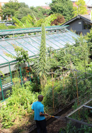 Introduction to Gardening 2 Day Workshop