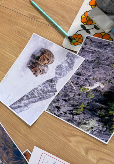 Kids' Creative Workshop: The Galápagos with Amelia
