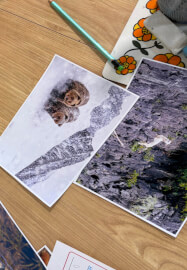 Kids' Creative Workshop: The Galápagos with Amelia