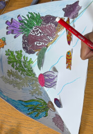 Kids' Creative Workshop: The Galápagos with Amelia