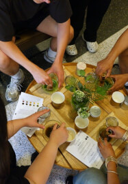Matcha Art Workshop