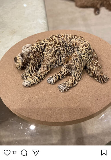 Pet Sculpture Workshop
