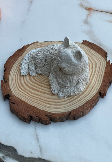Pet Sculpture Workshop
