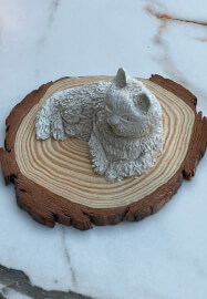 Pet Sculpture Workshop