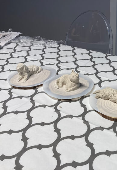 Pet Sculpture Workshop