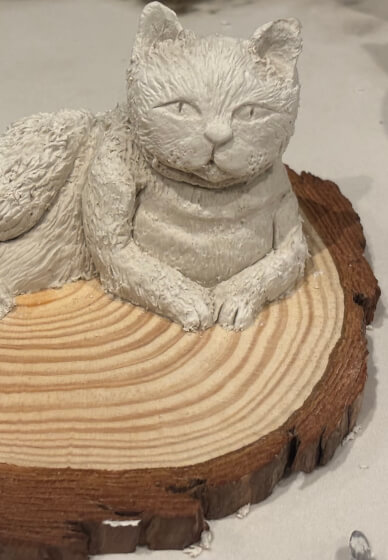 Pet Sculpture Workshop