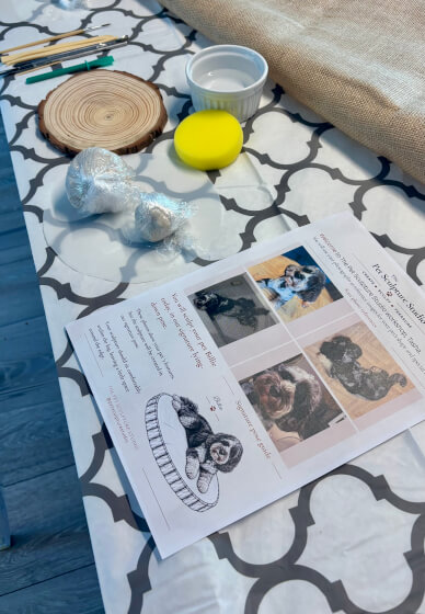 Pet Sculpture Workshop