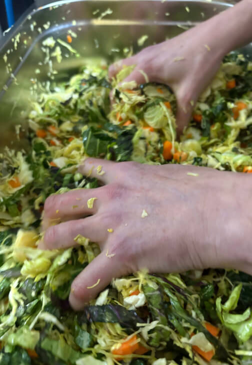 Pickling and Fermentation experience in Birmingham