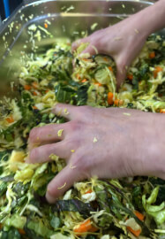 Pickling Party Experience and Luncheon