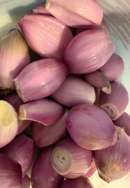 Pickling Party Experience and Luncheon