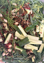 Pickling Party Experience and Luncheon