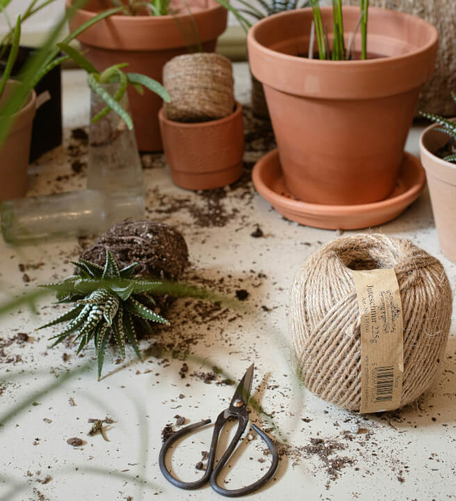 Gardening class in Wandsworth