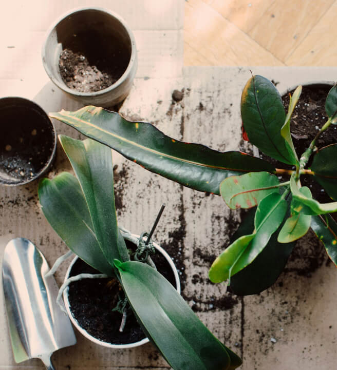 Photo from a gardening class in Wandsworth