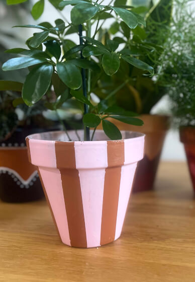 Plant Pot Painting Workshop