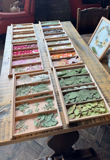 Pressed Flower Workshop - Mum and Baby Workshop