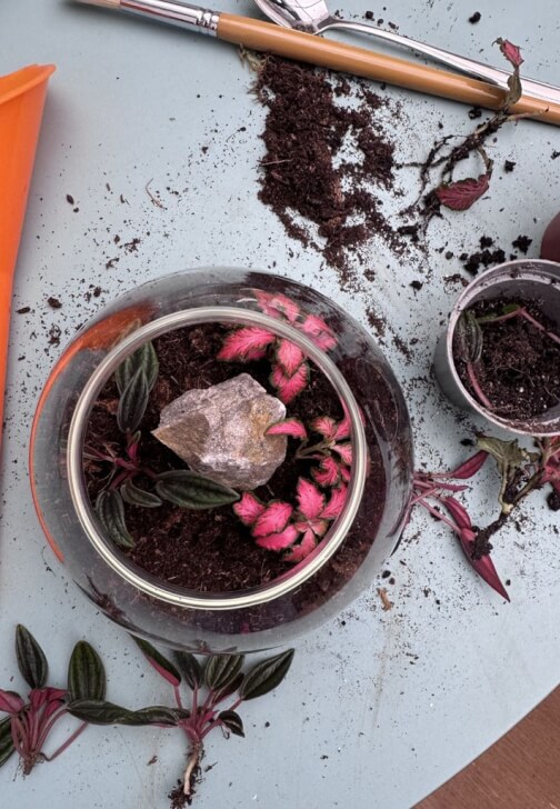 Private Kids Terrarium Party