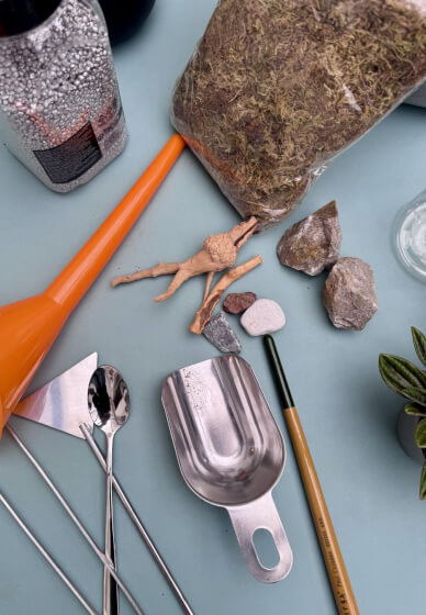 Private Kids Terrarium Party