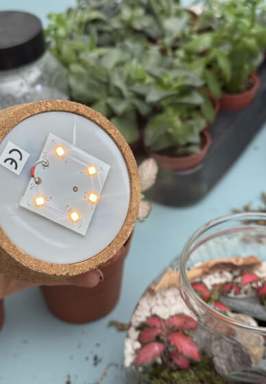 Private Kids Terrarium Party