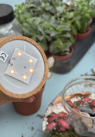 Private Kids Terrarium Party