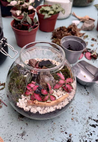 Private Kids Terrarium Party