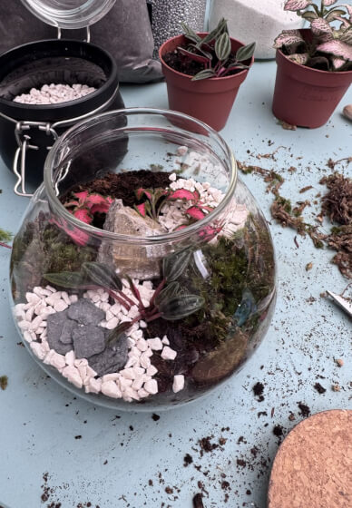 Private Kids Terrarium Party