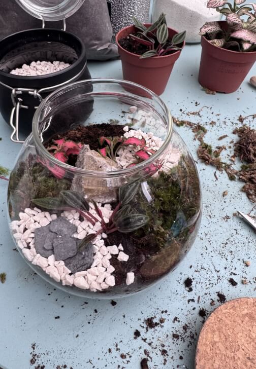 Private Kids Terrarium Party