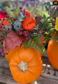 Pumpkin Bouquet Workshop