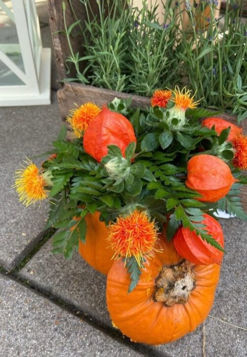 Floristry class in London, London