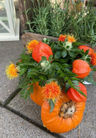 Pumpkin Bouquet Workshop