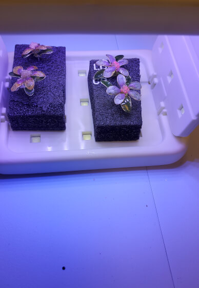 Ring Workshop - Dip Resin Flower