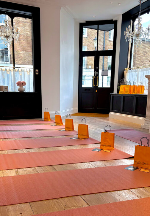 Experiences experience in Chelsea with Wellness & Wilde