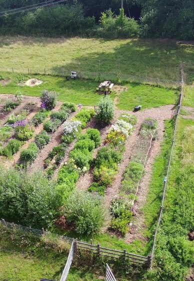 Sustainable Cut-Flower Gardening Workshop