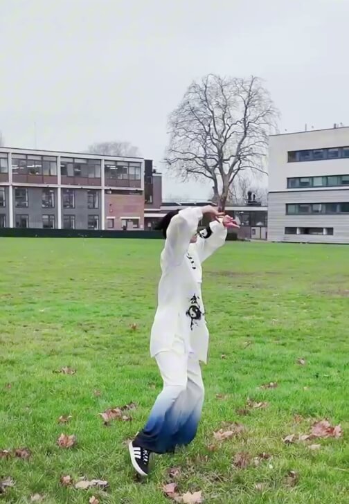 Tai Chi for Beginners with Xie Jin: Four-Class Course