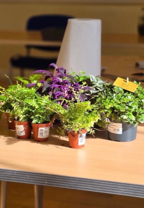 Terrarium Workshop