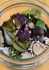 Terrarium Workshop