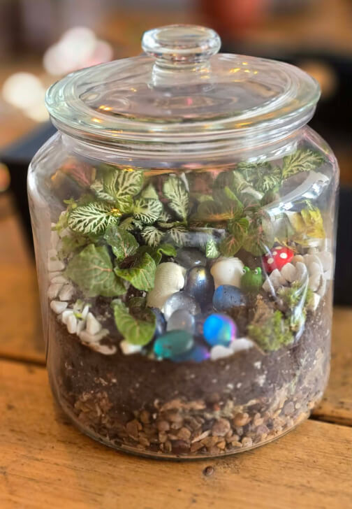 Photo from a terrarium class in Bideford