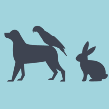 Happy Tails Petting Club