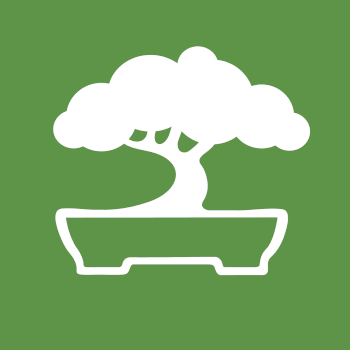 Let's Grow Bonsai