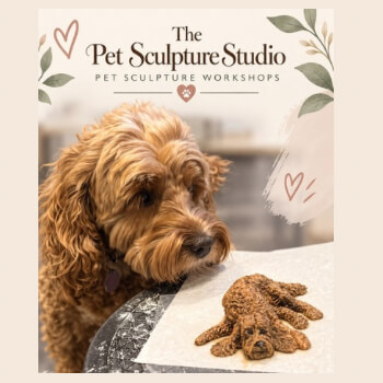 Pet Sculpture Studio