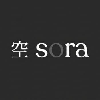 Sora Workshops