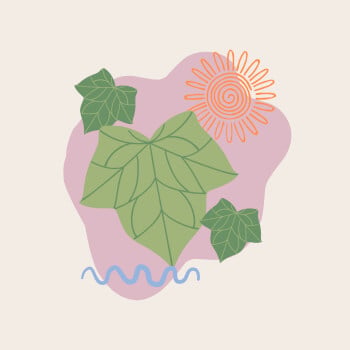 The Ivy Effect
