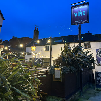 The Vine